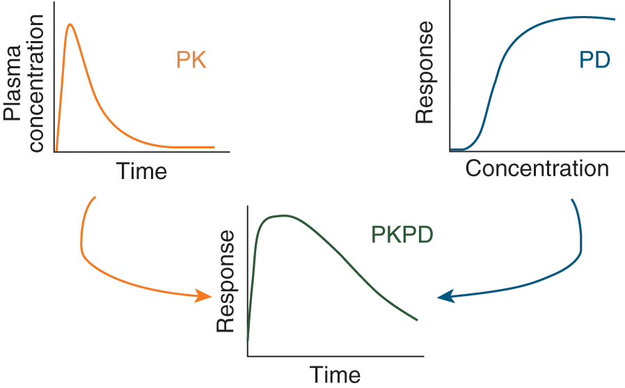 PK/PD & Dose Rationale